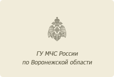 ГУ МЧС России по Воронежской области